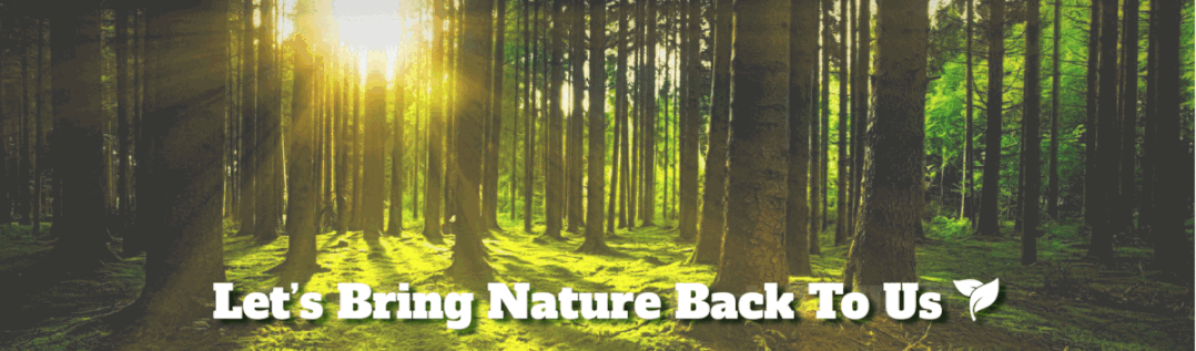 Apply by 5 October: bring your biodiversity action to CBD COP17