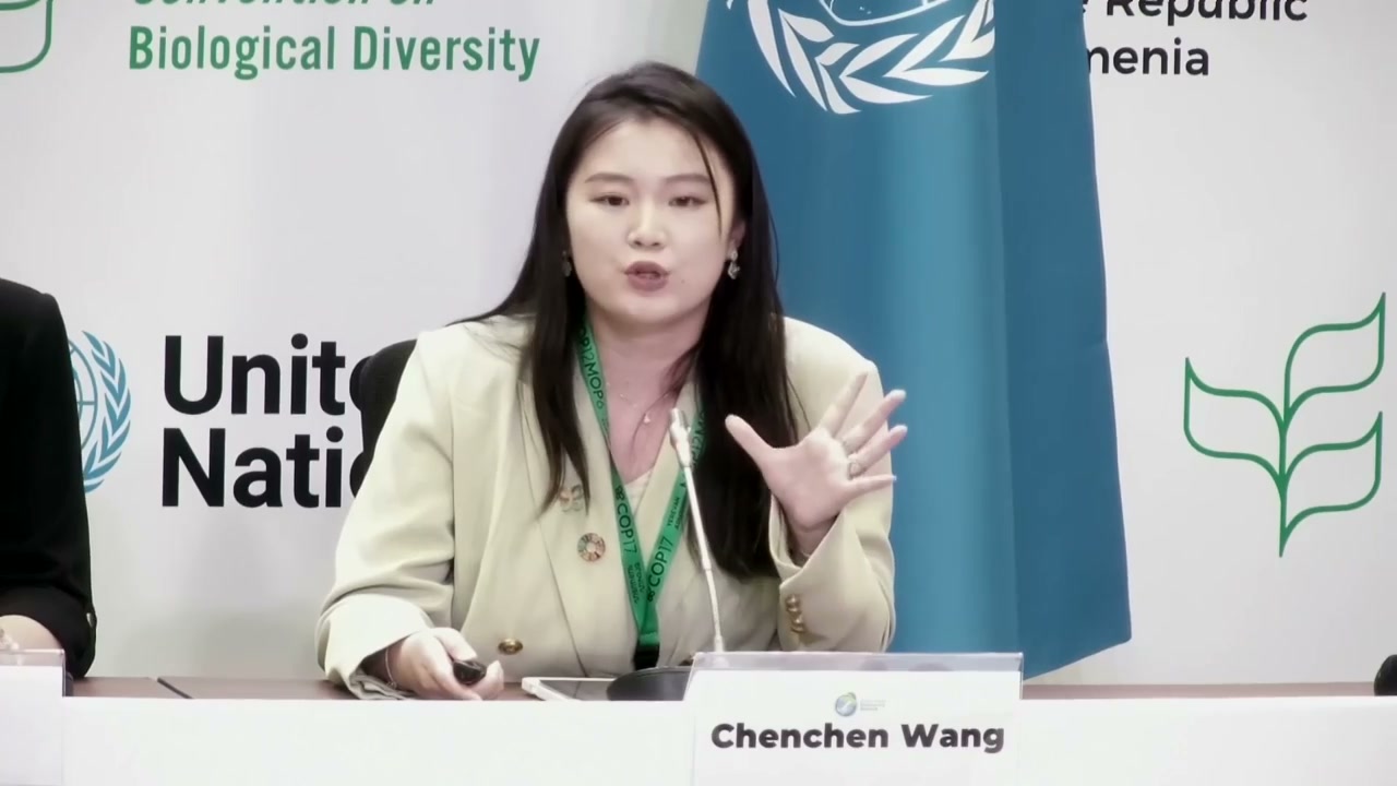 Wang Chenchen presents research on environmental technology adoption and deliberation in Global South communities. Image source: UN Web TV.