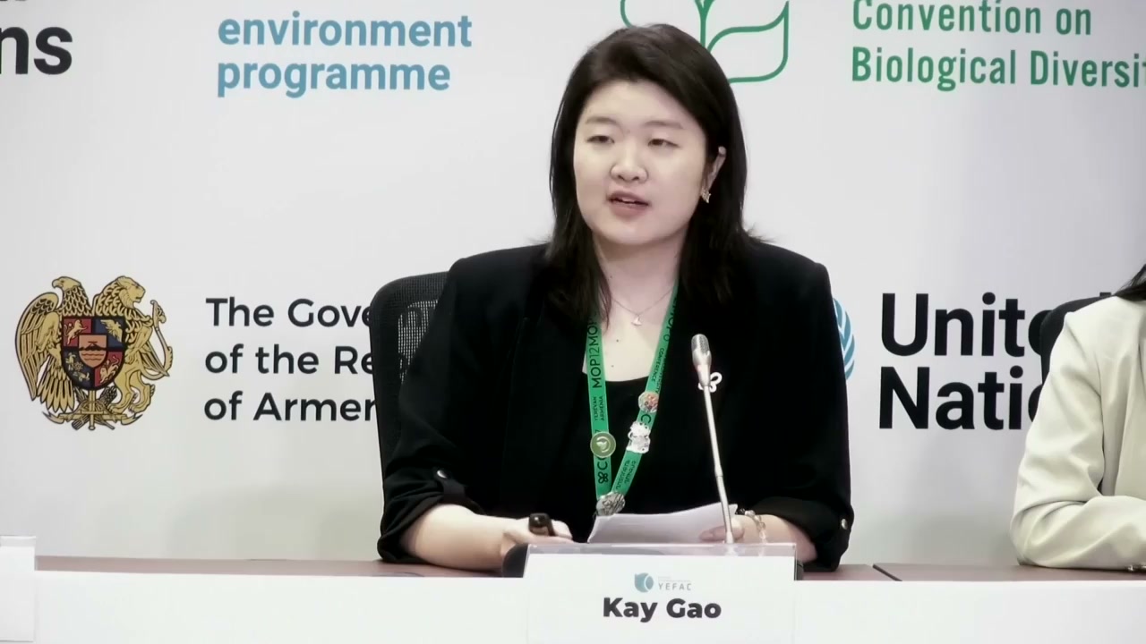 Gao Jinyi introduces “声景中国·深境计划” (Soundscape China · Deep Nature Programme). Image source: UN Web TV.