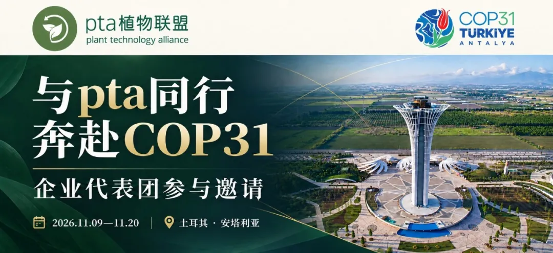 COP31 business delegation invitation: make green practice visible worldwide