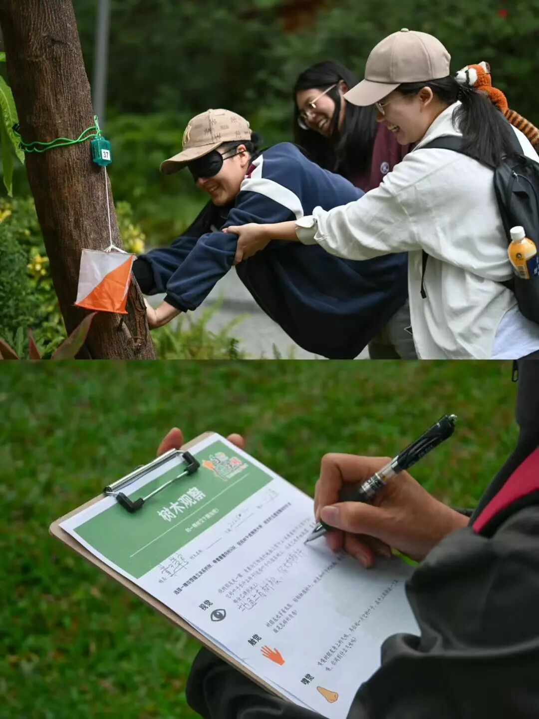 Youth biodiversity action case submission