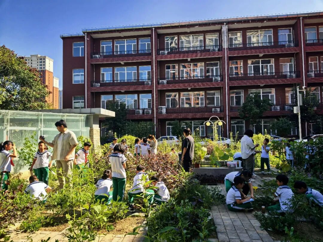 Youth biodiversity action case submission
